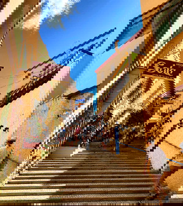 yam_adler image ~ Altpins