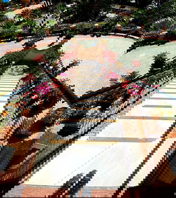 yam_adler image ~ Altpins