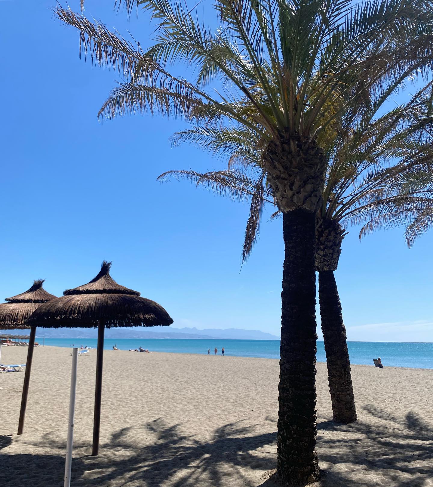 yam_adler instagram image archive image