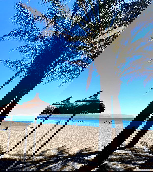 yam_adler image ~ Altpins