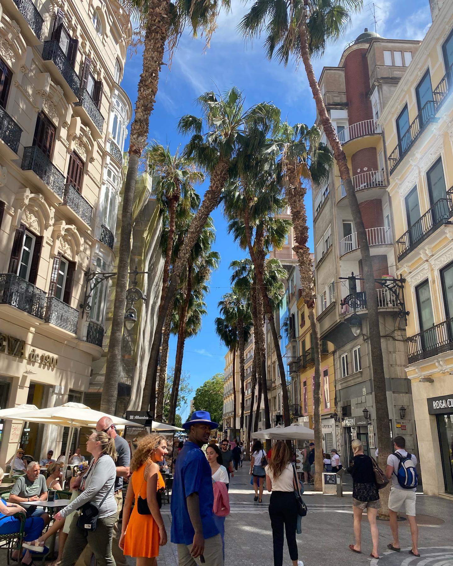 yam_adler instagram image archive image