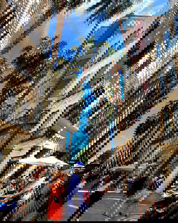 yam_adler image ~ Altpins