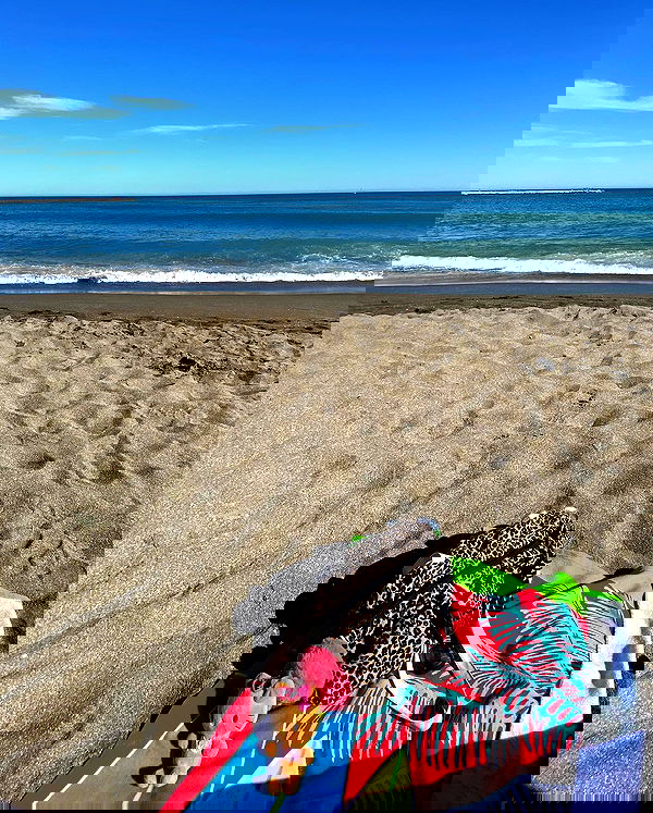 yam_adler image ~ Altpins