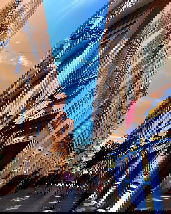 yam_adler image ~ Altpins