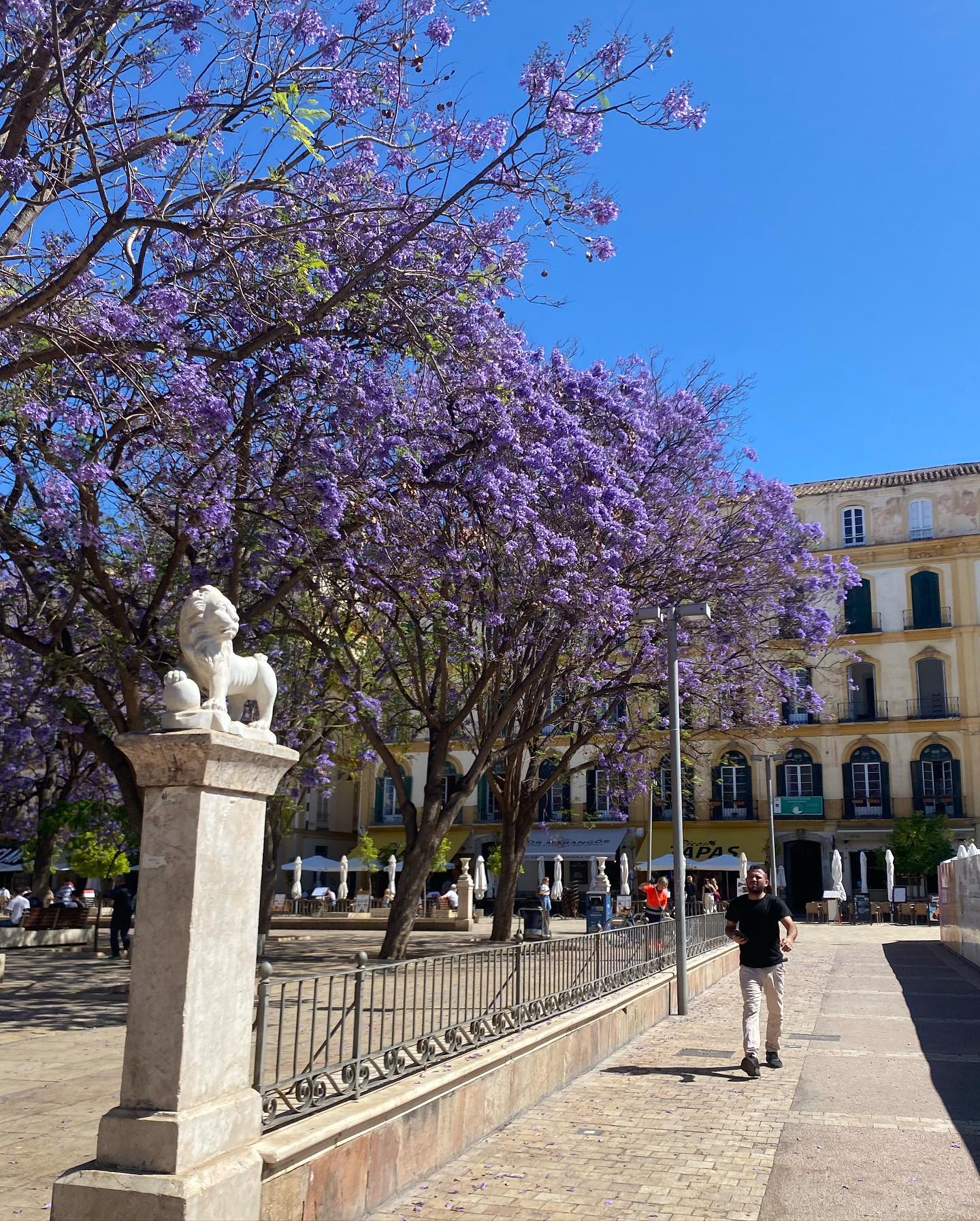 yam_adler instagram image archive image