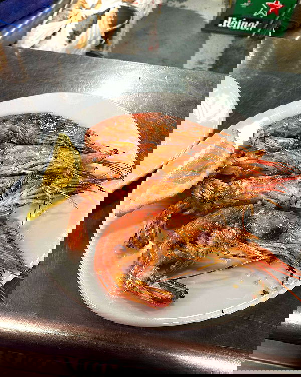 yam_adler image ~ Altpins