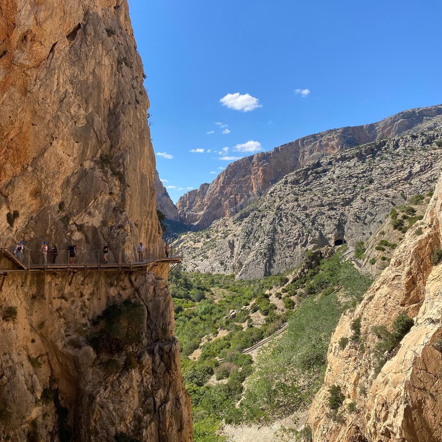 yam_adler instagram image archive image