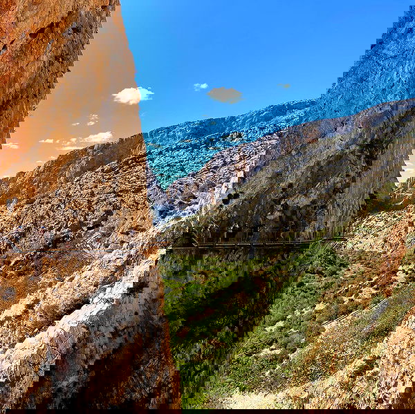 yam_adler image ~ Altpins