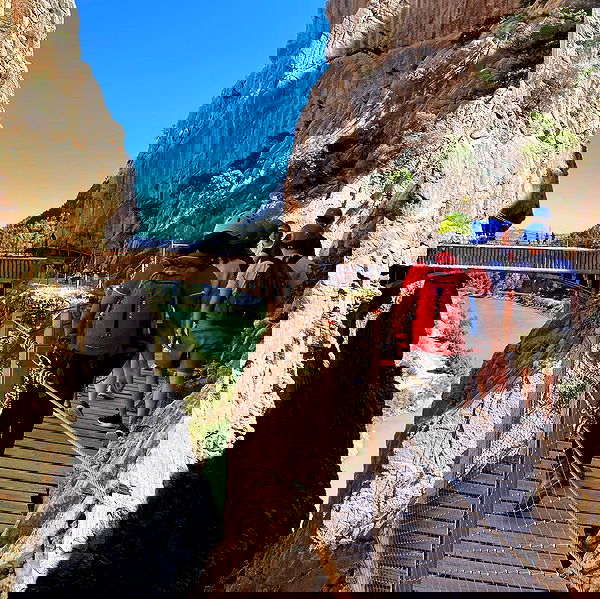 yam_adler image ~ Altpins