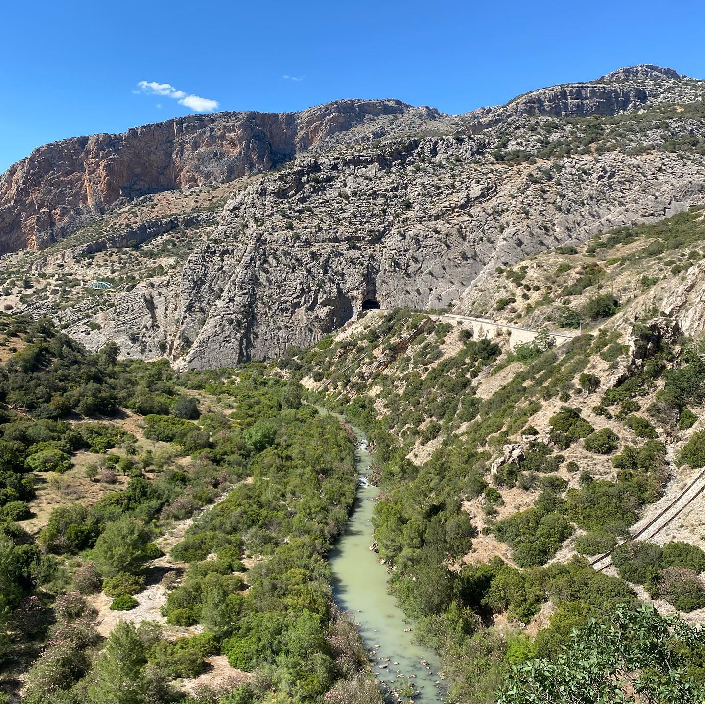 yam_adler instagram image archive image