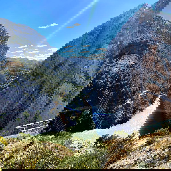 yam_adler image ~ Altpins