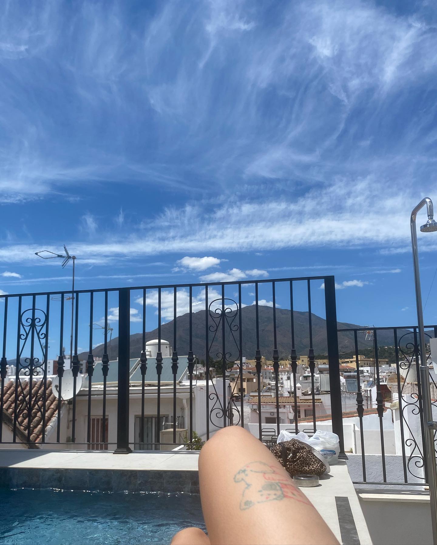 yam_adler instagram image archive image