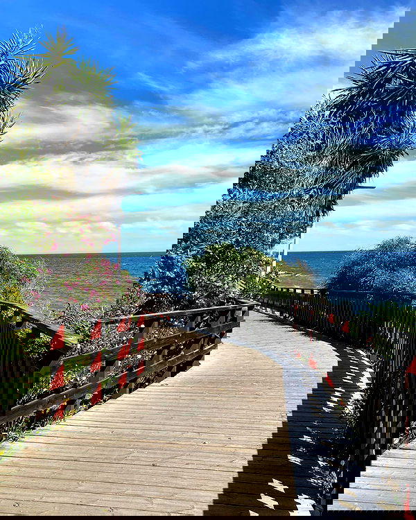 yam_adler image ~ Altpins