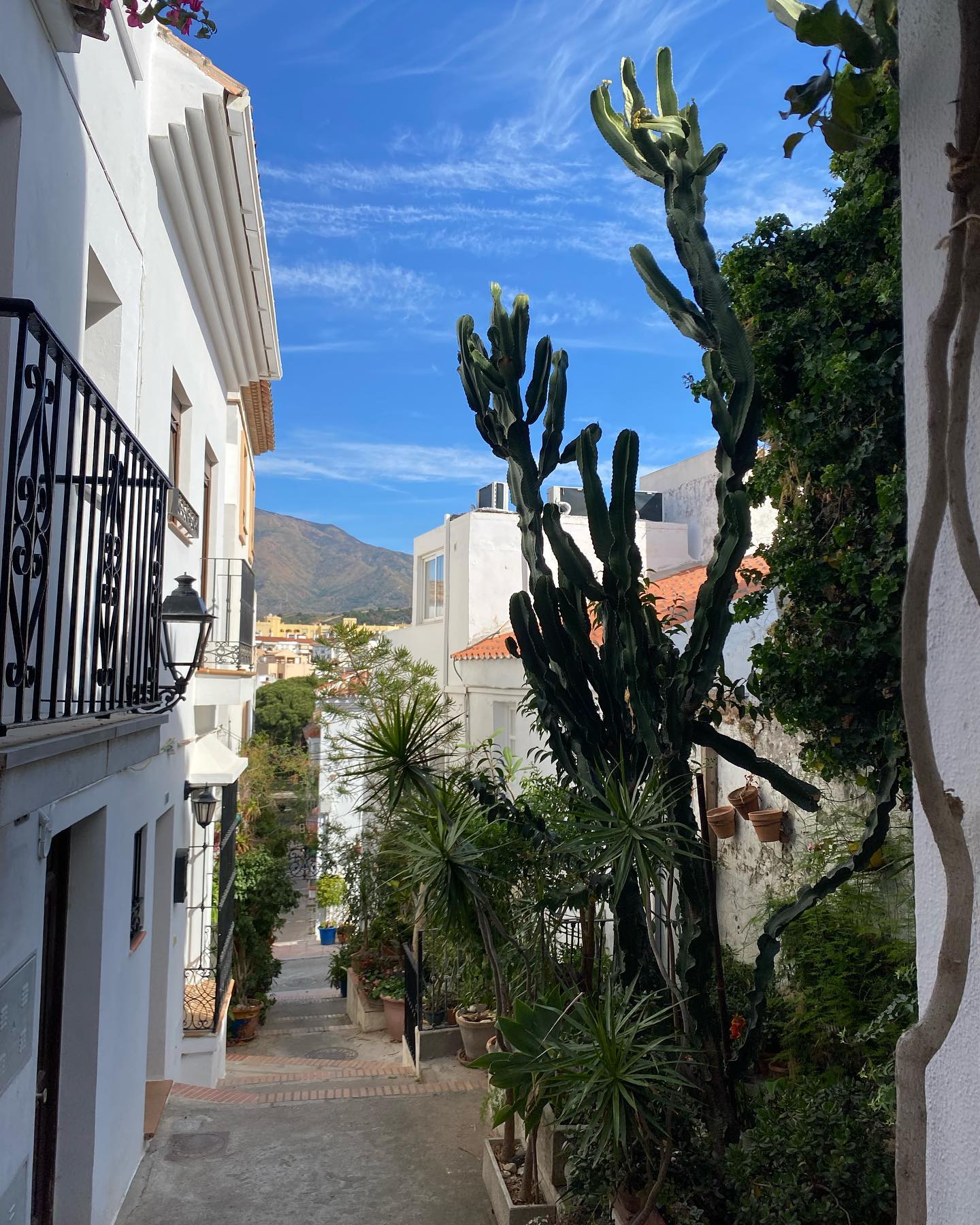 yam_adler instagram image archive image