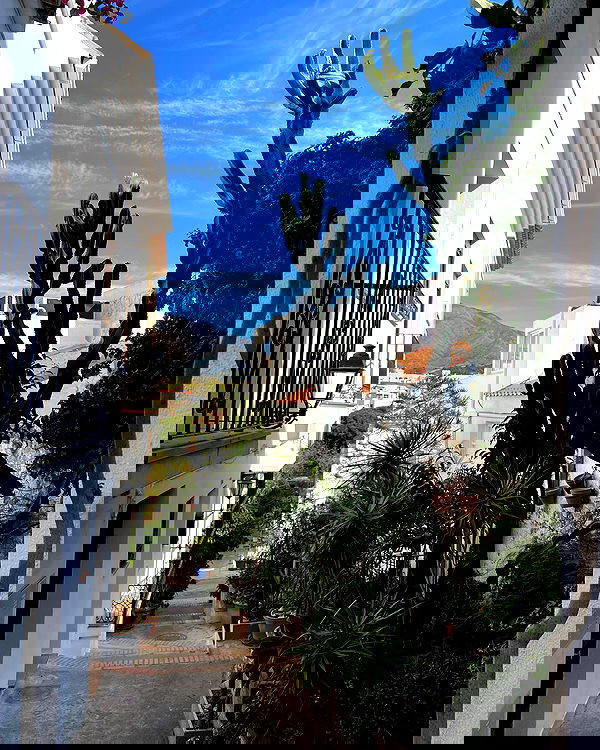 yam_adler image ~ Altpins