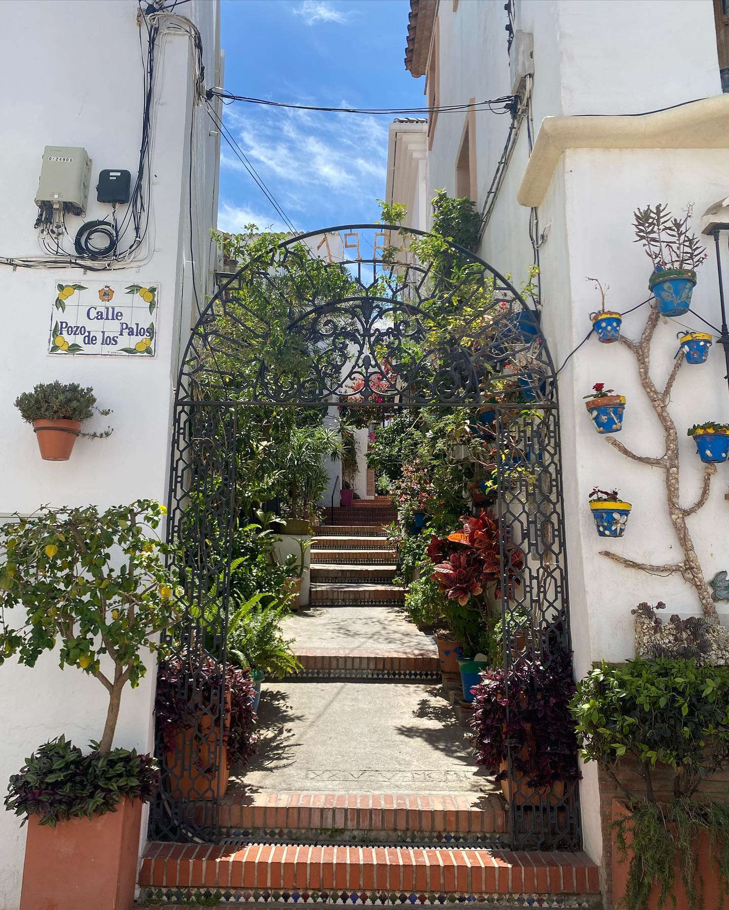 yam_adler instagram image archive image