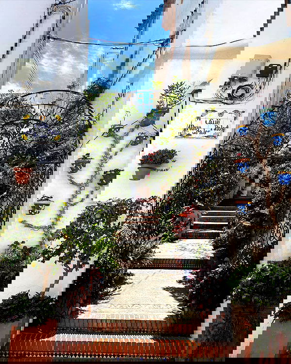 yam_adler image ~ Altpins