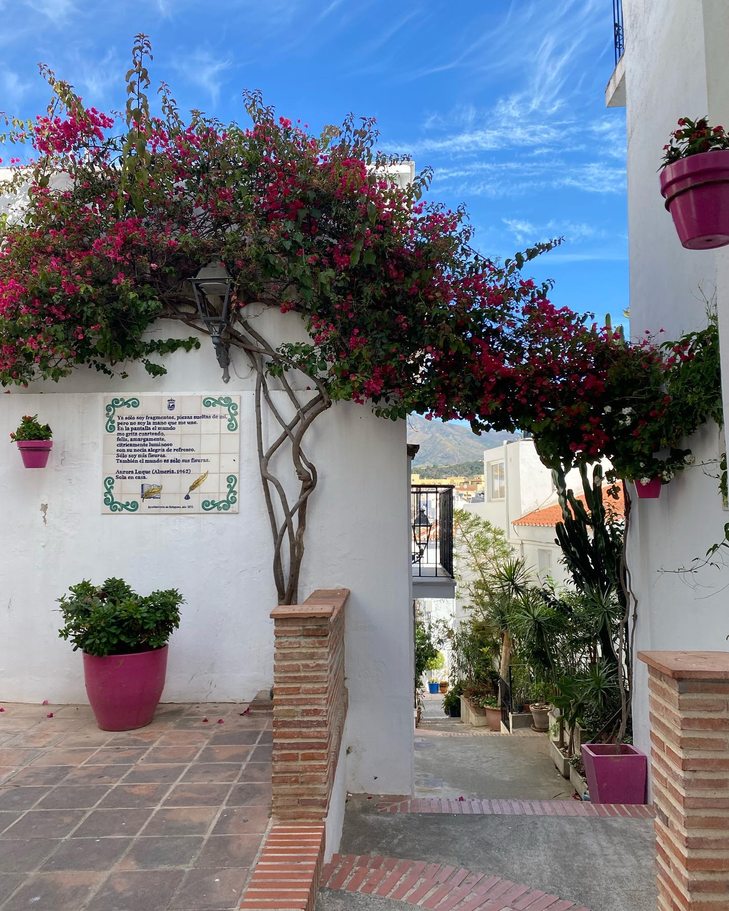 yam_adler instagram image archive image