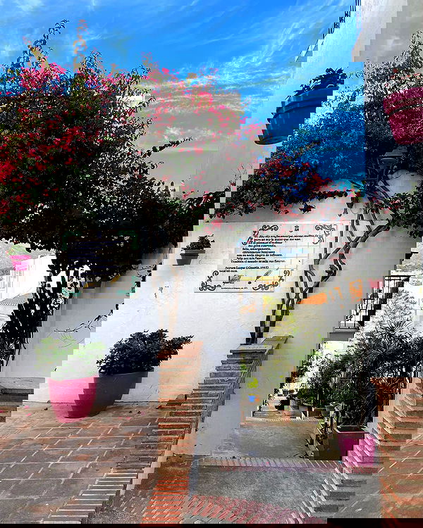 yam_adler image ~ Altpins