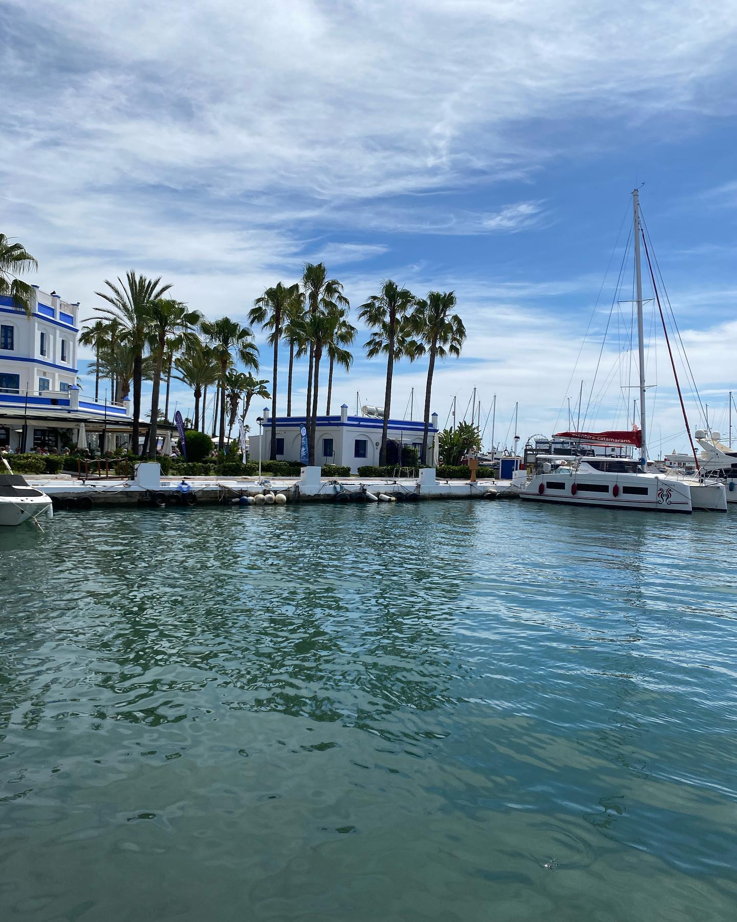 yam_adler instagram image archive image