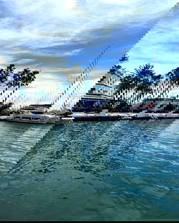 yam_adler image ~ Altpins