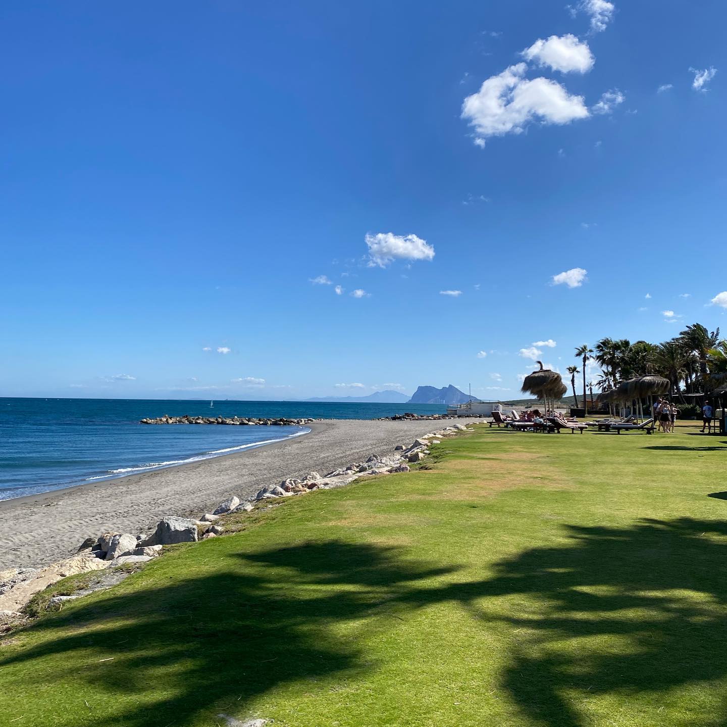 yam_adler instagram image archive image