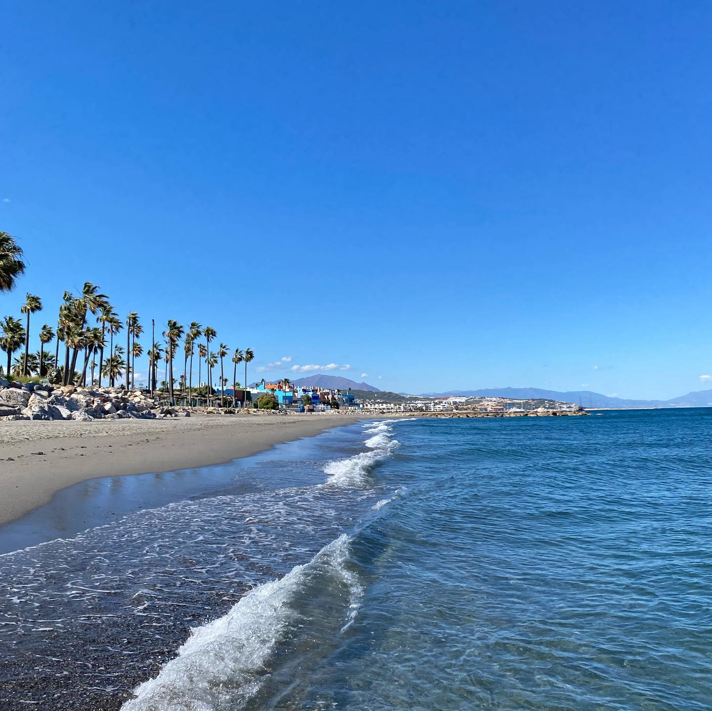 yam_adler instagram image archive image