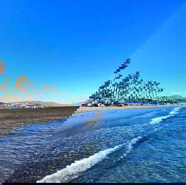 yam_adler image ~ Altpins