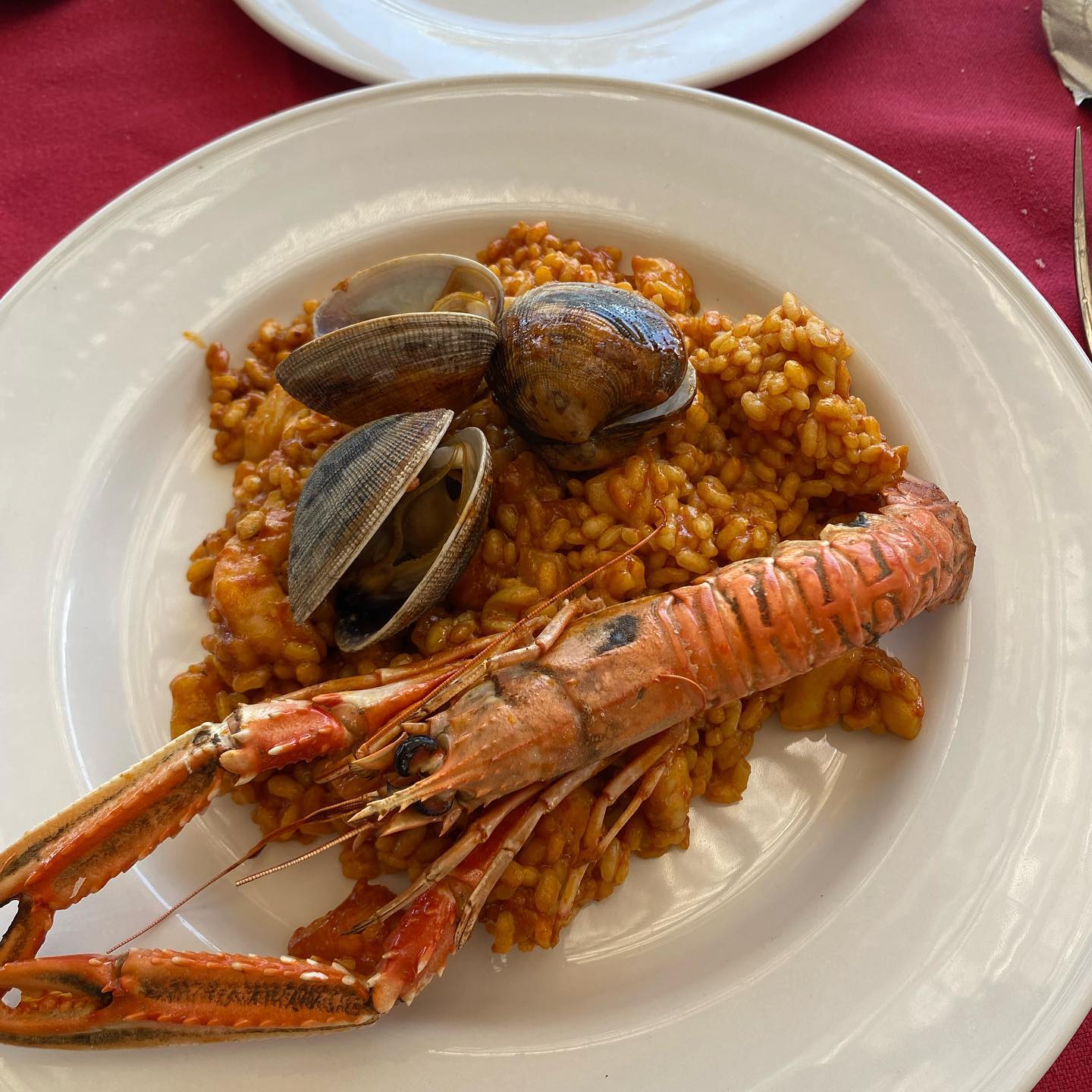 yam_adler instagram image archive image