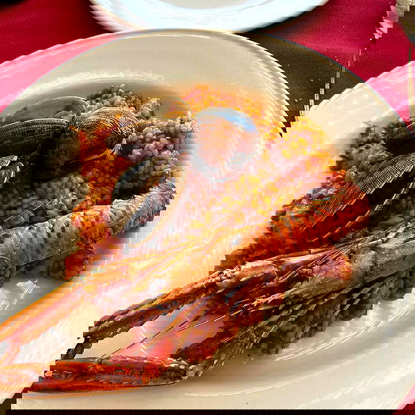 yam_adler image ~ Altpins