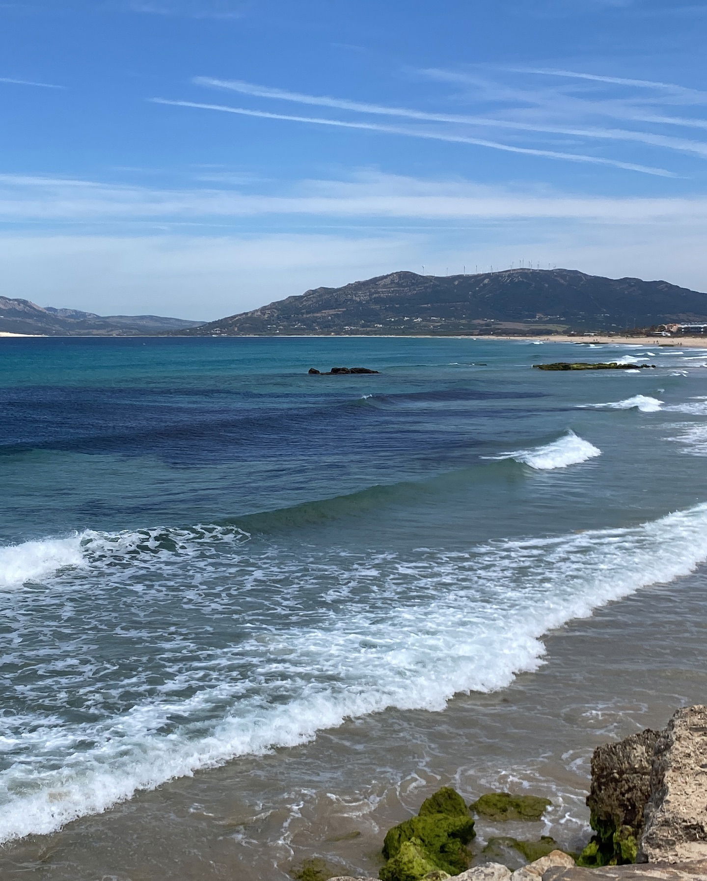 yam_adler instagram image archive image