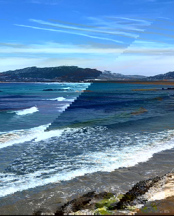 yam_adler image ~ Altpins