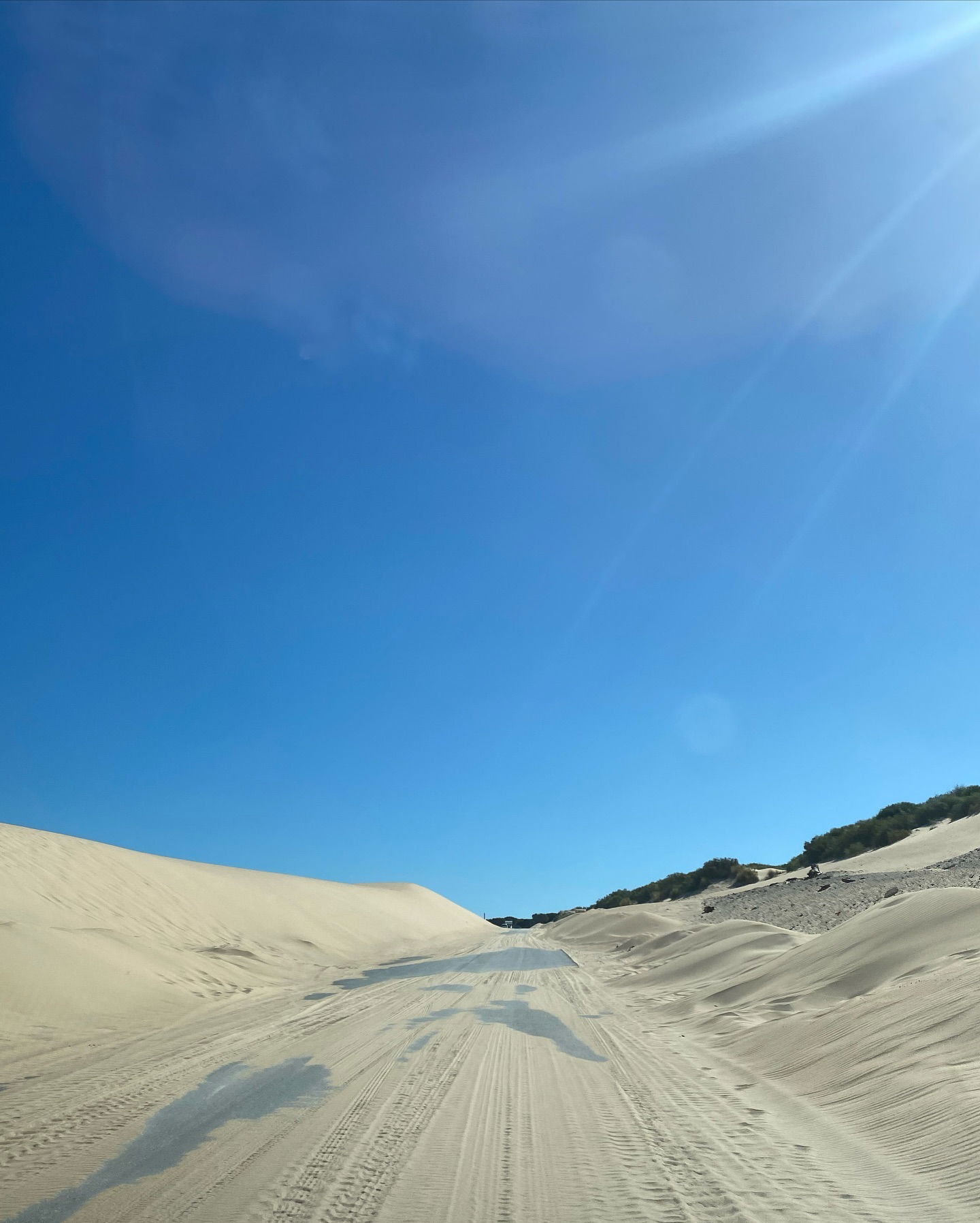 yam_adler instagram image archive image