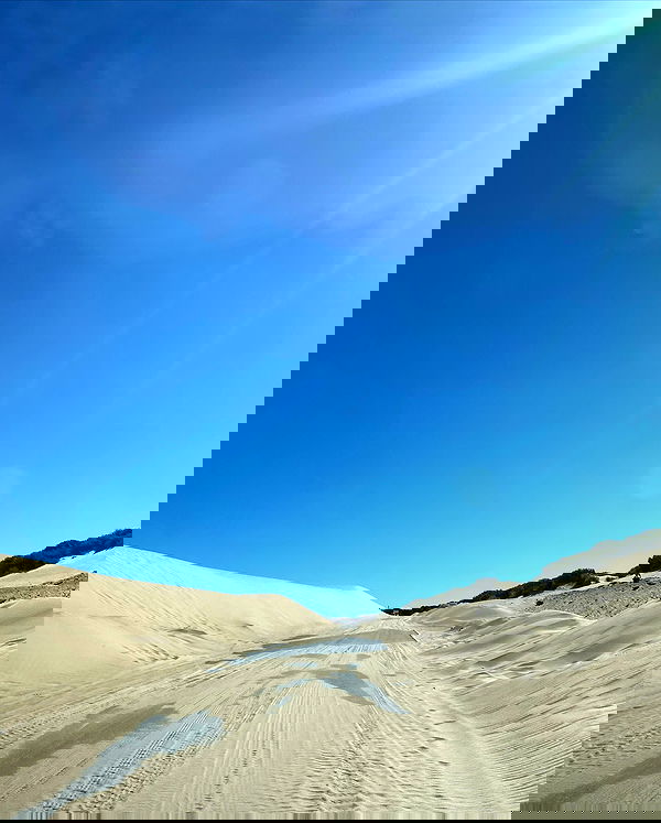 yam_adler image ~ Altpins