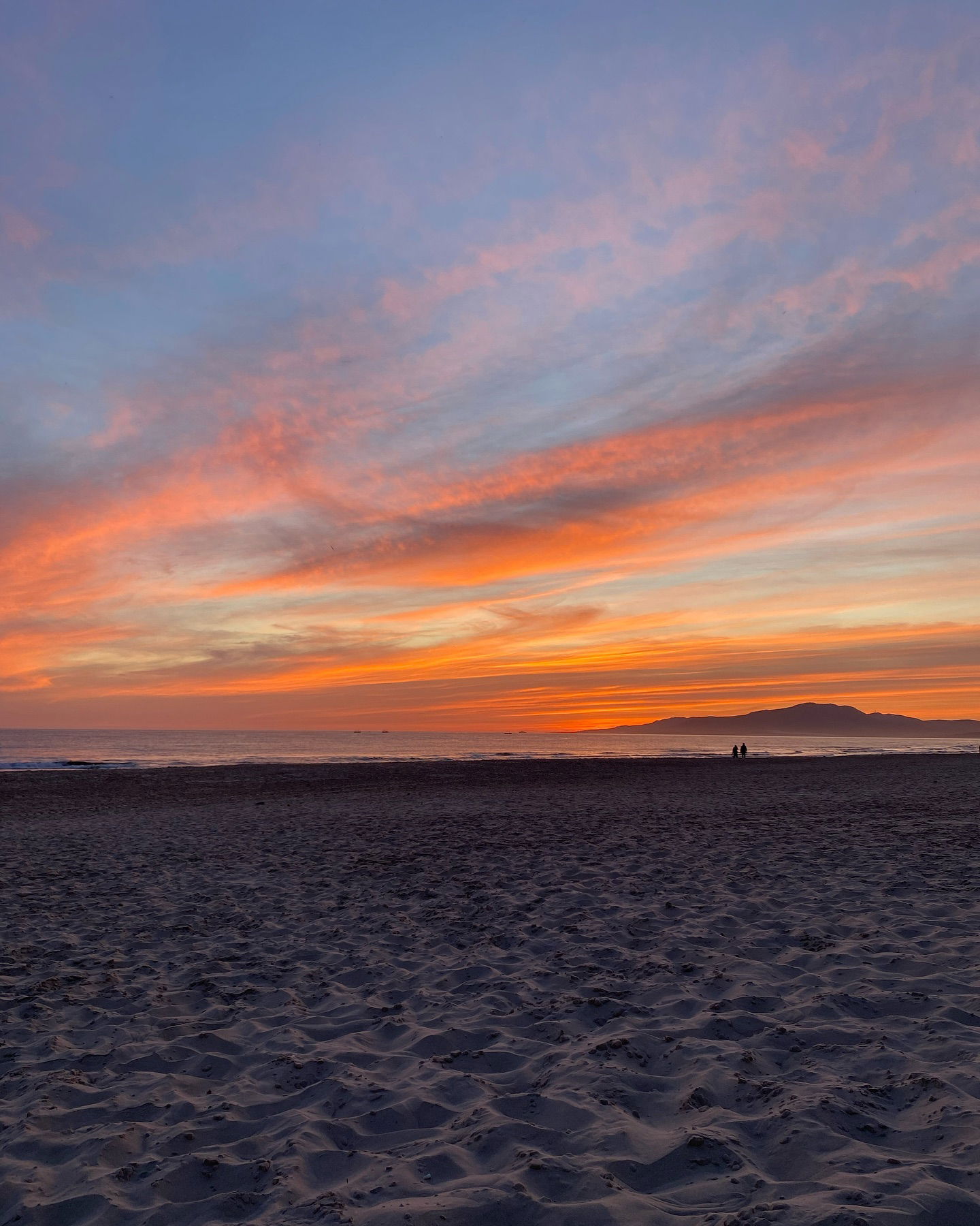 yam_adler instagram image archive image