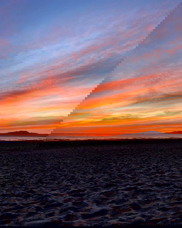 yam_adler image ~ Altpins