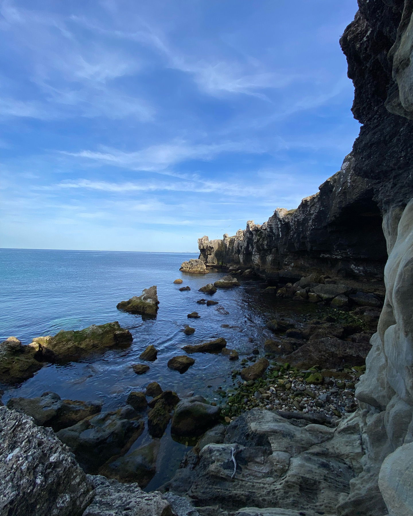 yam_adler instagram image archive image