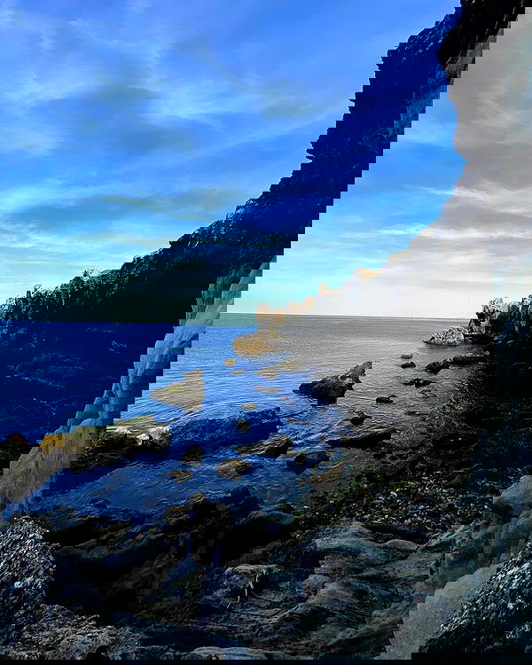 yam_adler image ~ Altpins