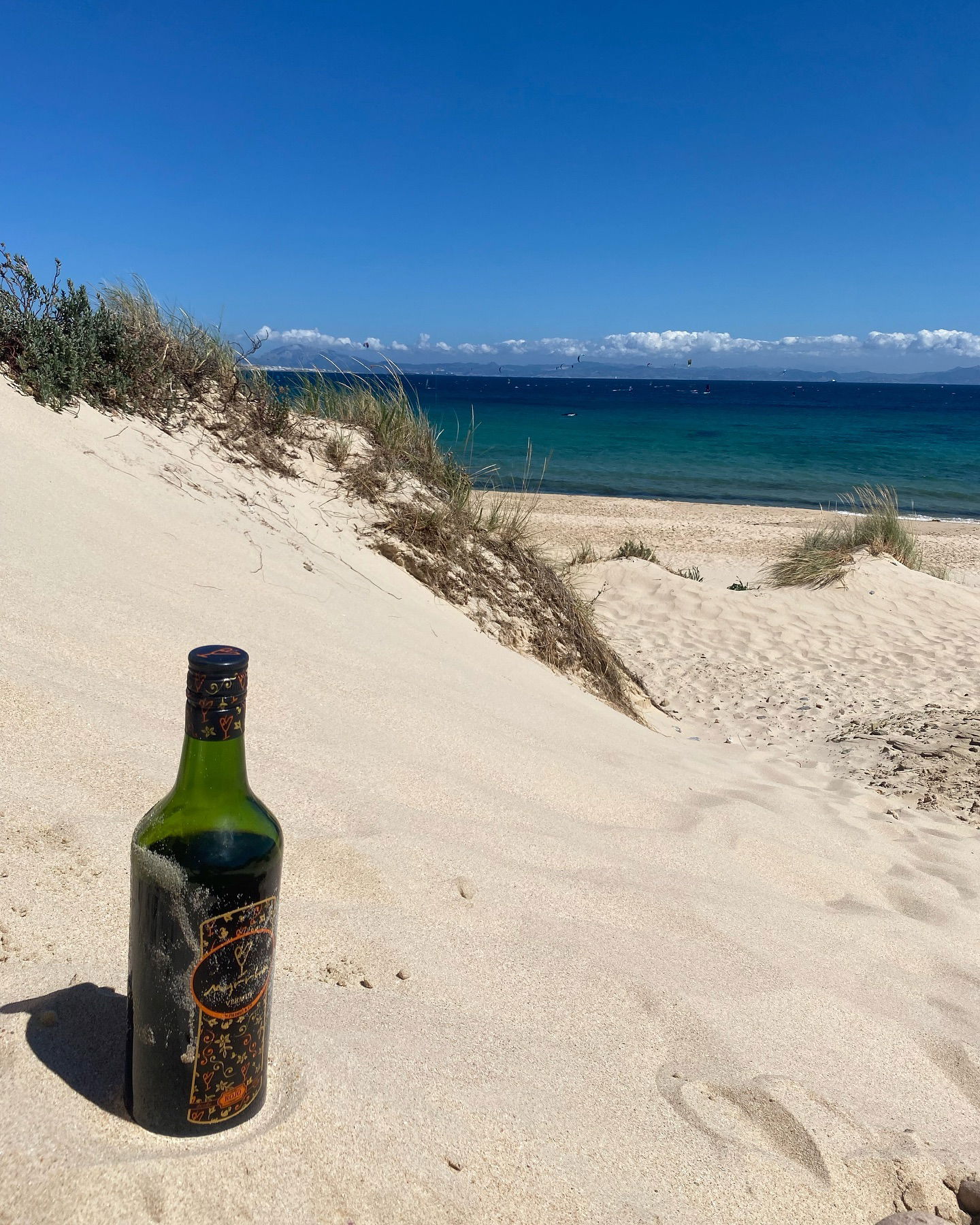 yam_adler instagram image archive image