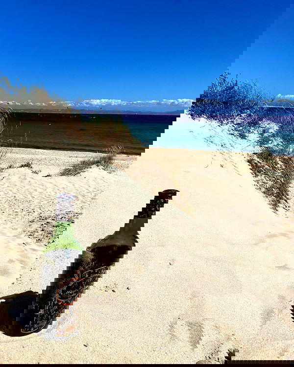 yam_adler image ~ Altpins