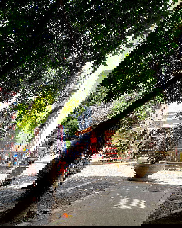 yam_adler image ~ Altpins