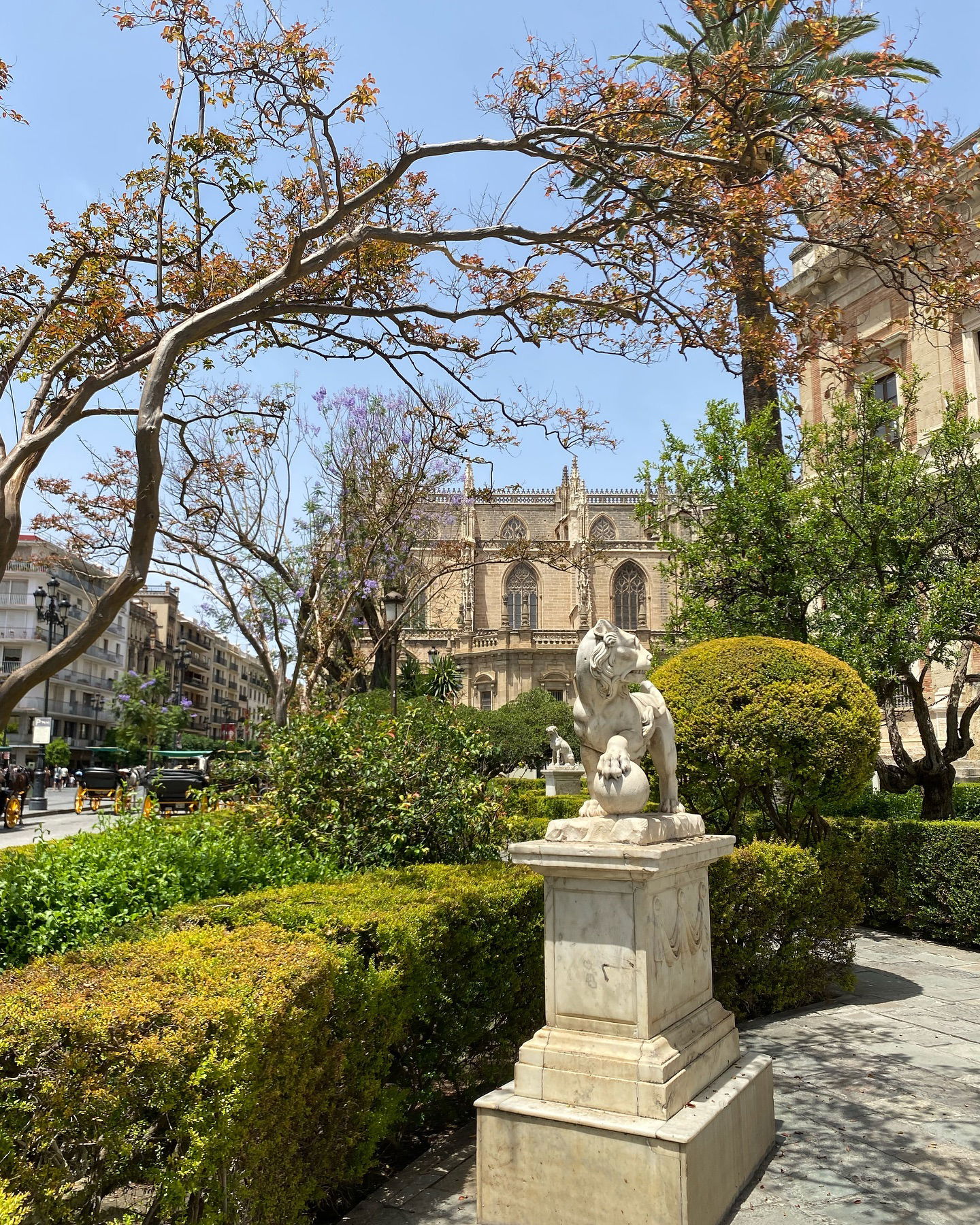 yam_adler instagram image archive image