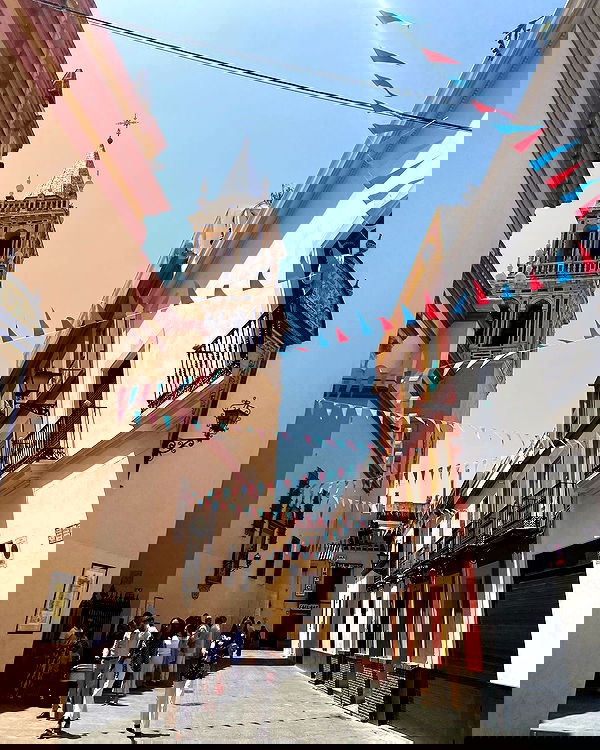 yam_adler image ~ Altpins