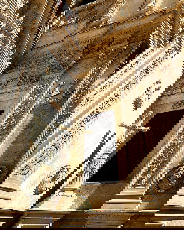 yam_adler image ~ Altpins