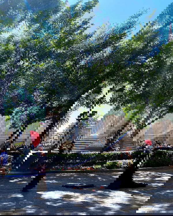 yam_adler image ~ Altpins