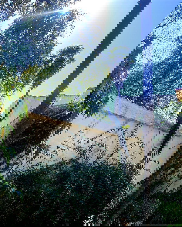 yam_adler image ~ Altpins