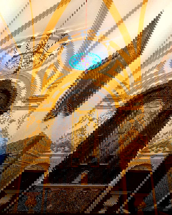 yam_adler image ~ Altpins