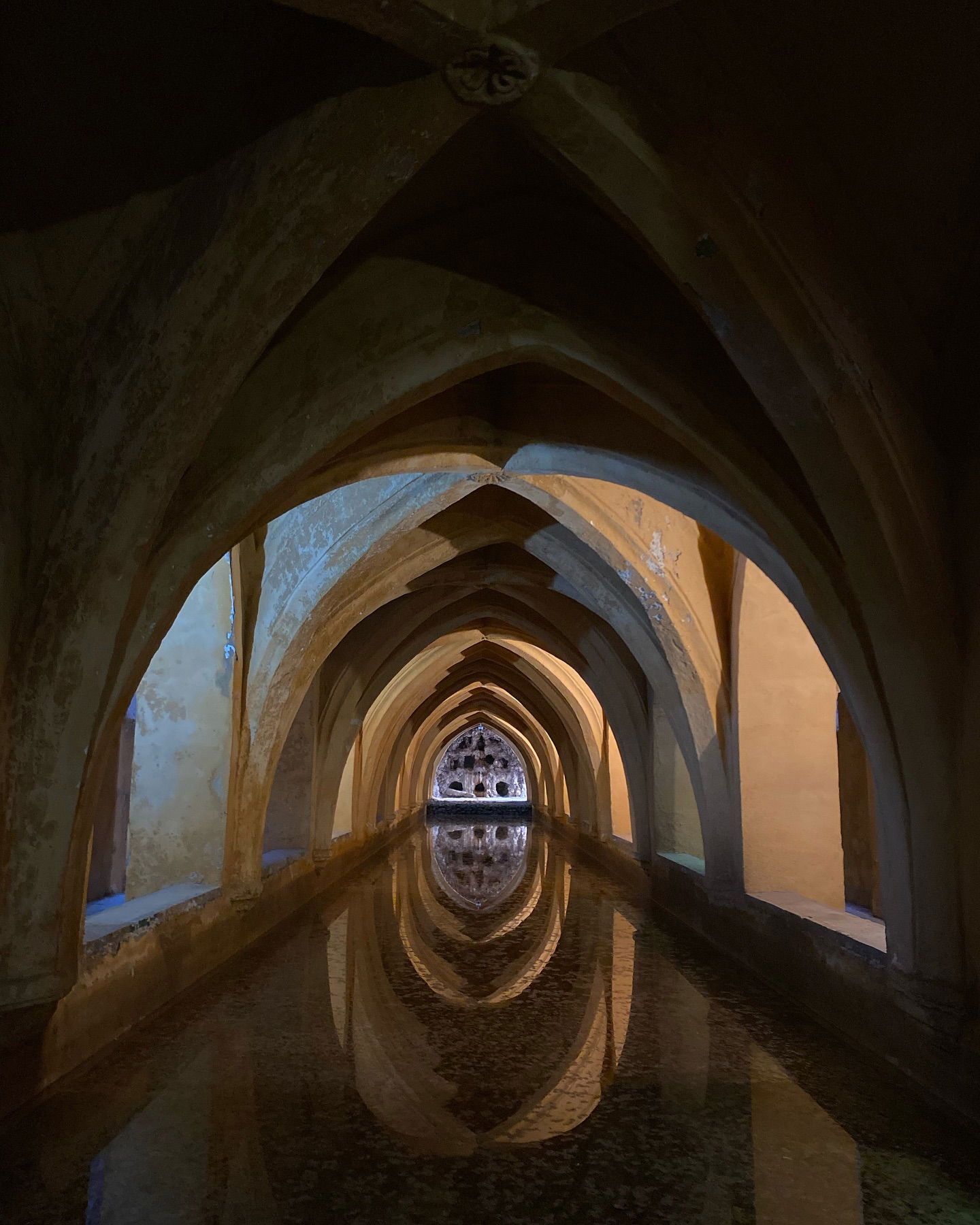 yam_adler instagram image archive image