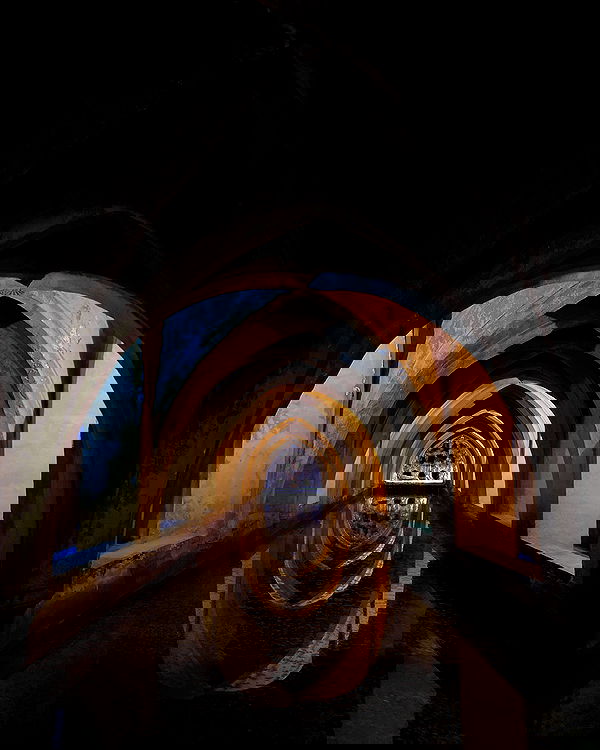 yam_adler image ~ Altpins