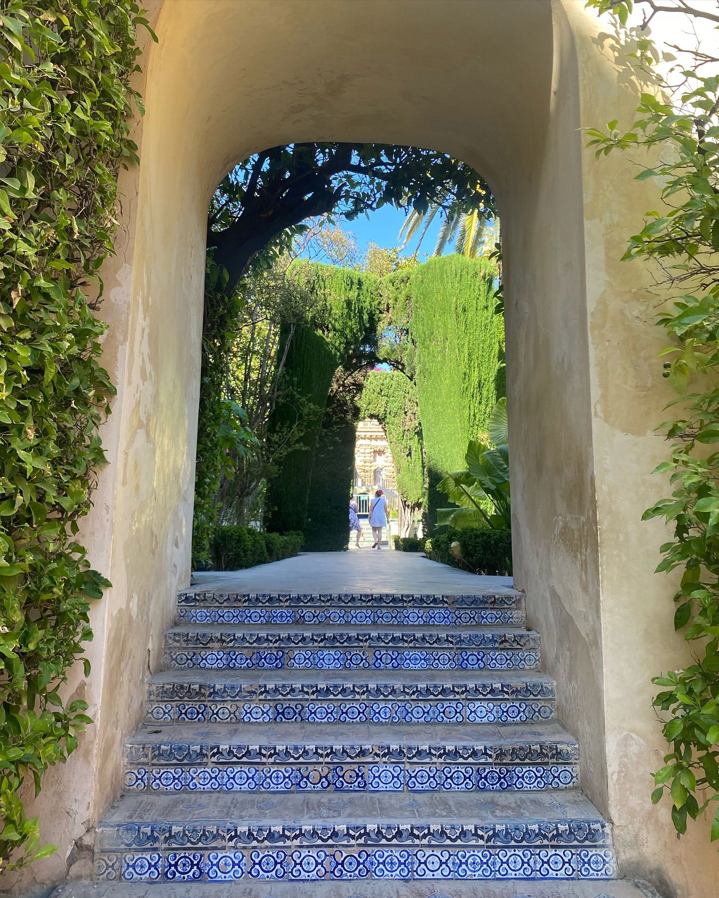 yam_adler instagram image archive image